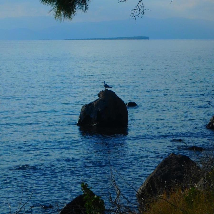 Villa Rodanthos Perdika  Buitenkant foto